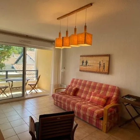 T2 Au Calme, Ideal Famille/amis, Proche Plage, Parking Prive, Terrasse. - Fr-1-379-146 *